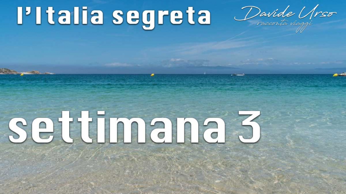 i risultati dei primi sondaggi
