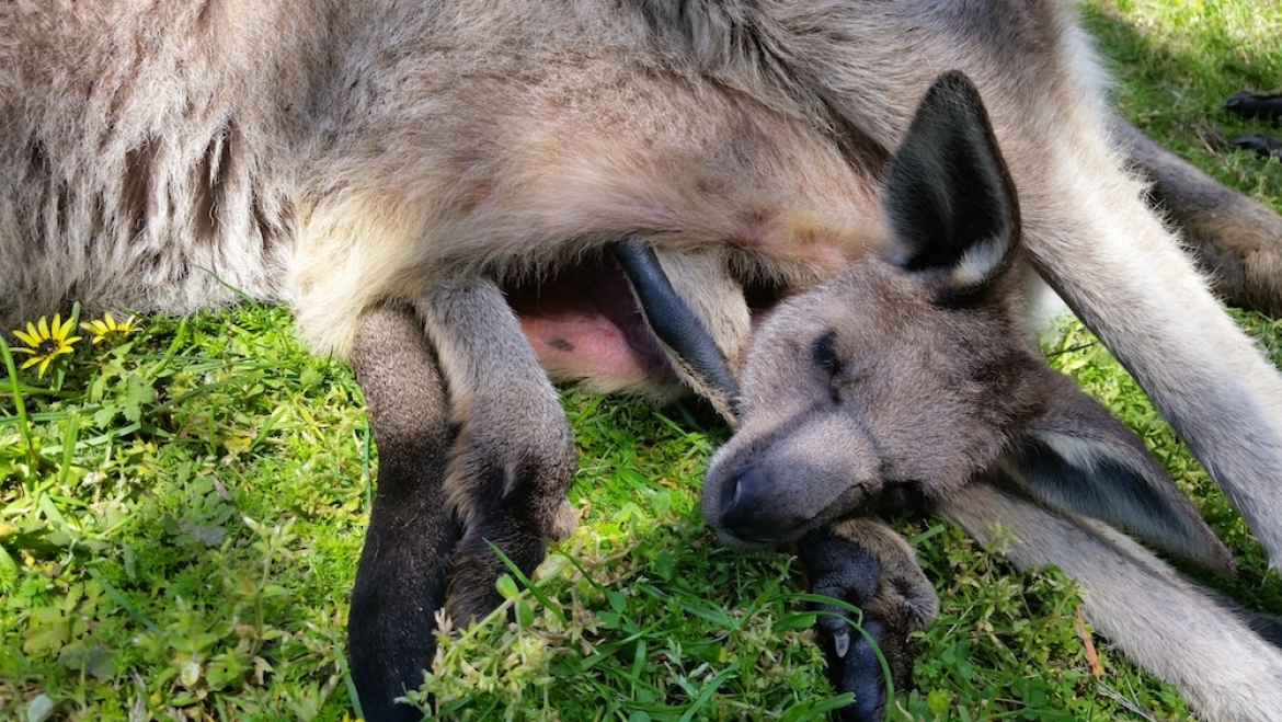 l'Italia da sud a nord