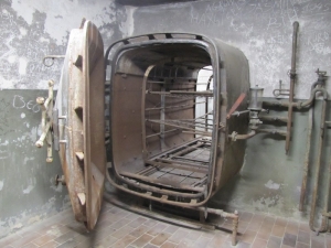 Giorno 56 - Vienna, km 15556