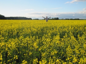 Giorno 31 – Turku, km 10019